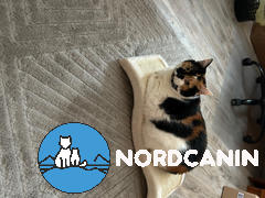 Nordcanin Nordcanin Csukamájolaj Review