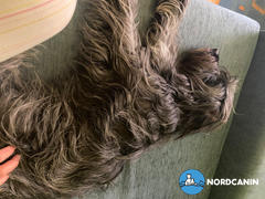 Nordcanin Nordcanin Prémium Hidrolizált Huminsav Review