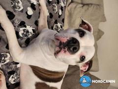 Nordcanin Nordcanin Fiberboost - prebiotikus rost Review