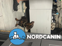Nordcanin Nordcanin Fiberboost - prebiotikus rost Review
