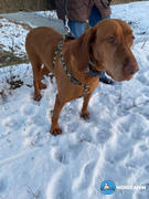 Nordcanin Nordcanin Új-Zélandi Zöldkagyló PRO Review