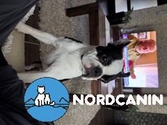 Nordcanin Életerő Omega Duó csomag Review