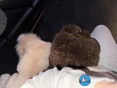 Nordcanin Nordcanin Multivitamin Review