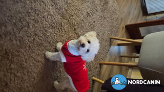 Nordcanin Nordcanin Multivitamin PRO Review