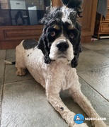 Nordcanin Nordcanin Multivitamin PRO  Review