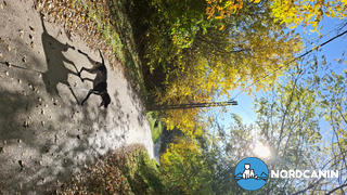 Nordcanin Kutya ízületvédő csomag Review