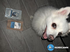 Nordcanin Nordcanin Allerginix PRO Review