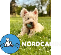 Nordcanin Nordcanin Allerginix PRO Review
