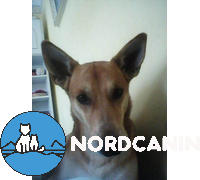 Nordcanin Nordcanin Allerginix PRO  Review