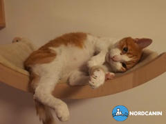 Nordcanin Nordcanin Fibercat - prebiotikus rost Review