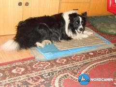 Nordcanin Nordcanin Fiberboost PUMPKIN SPICE - prebiotikus rost Review