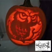 Arcadia Designs Owl in the Woods Printable Halloween Pumpkin Carving Pattern Stencil Review
