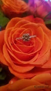 Kobelli 1 3/4ct Moissanite & LG Diamond Engagement Ring - 14k White Gold Review