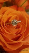 Kobelli 1 3/4ct Moissanite & LG Diamond Engagement Ring - 14k White Gold Review