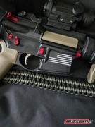 AR15Discounts.com Battle Arms Enhanced Pivot and Takedown Pin Set Review