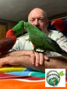 The Best Bird Food Origins Wild Diet® Eclectus OWD 16oz Review
