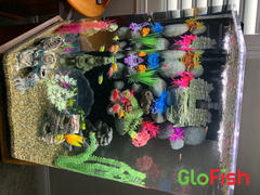 GloFish GloFish® Special Flake Food Review
