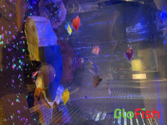 GloFish GloFish® Skirt Tetra Deluxe Set (8 ct) Review