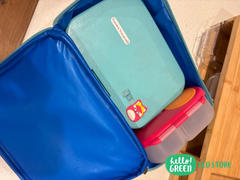 Hello Green PackIt Freezable Lunch Box Review
