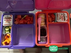 Hello Green OmieBox 2.0 Smarter Bento Box Review