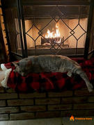 US Fireplace Store Hargrove U2440 Universal Refractor Panel 24 x 40 - 1 Thick Review