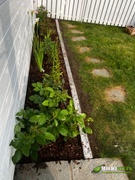 Miljøstein Norge As Granitt Kantstein 8x20x1 Lm. Råhugget 1x Løpemeter Review