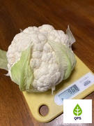 Quality Plants & Seedlings Cauliflower Seedlings (White) Review