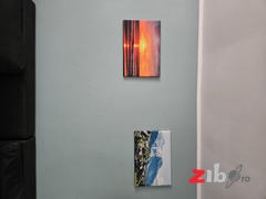 Cameradevis.ro Tablou canvas - Printre munti Review
