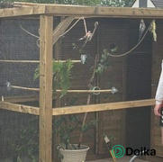 Doika Voldux Volière Toon rechts 300 x 120 x 190 cm Review