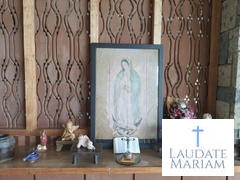 Laudate Mariam Our Lady of Guadalupe Tilma Review