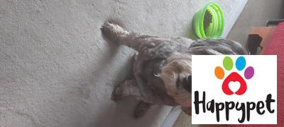 Happypet Venison Nuggets 130g - Dog Treats Review