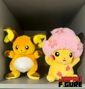 Japan Figure Pokemon Center I Choose You! Raichu Plush Doll Review