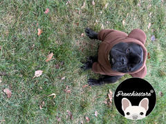Frenchiestore Frenchiestore Толстовка с капюшоном для собак Frenchie Ear из органического материала | Обзор плюшевого мишки