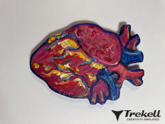 Trekell Art Supplies Trekell Anatomical Heart Panel - Wooden Painting Canvas Review