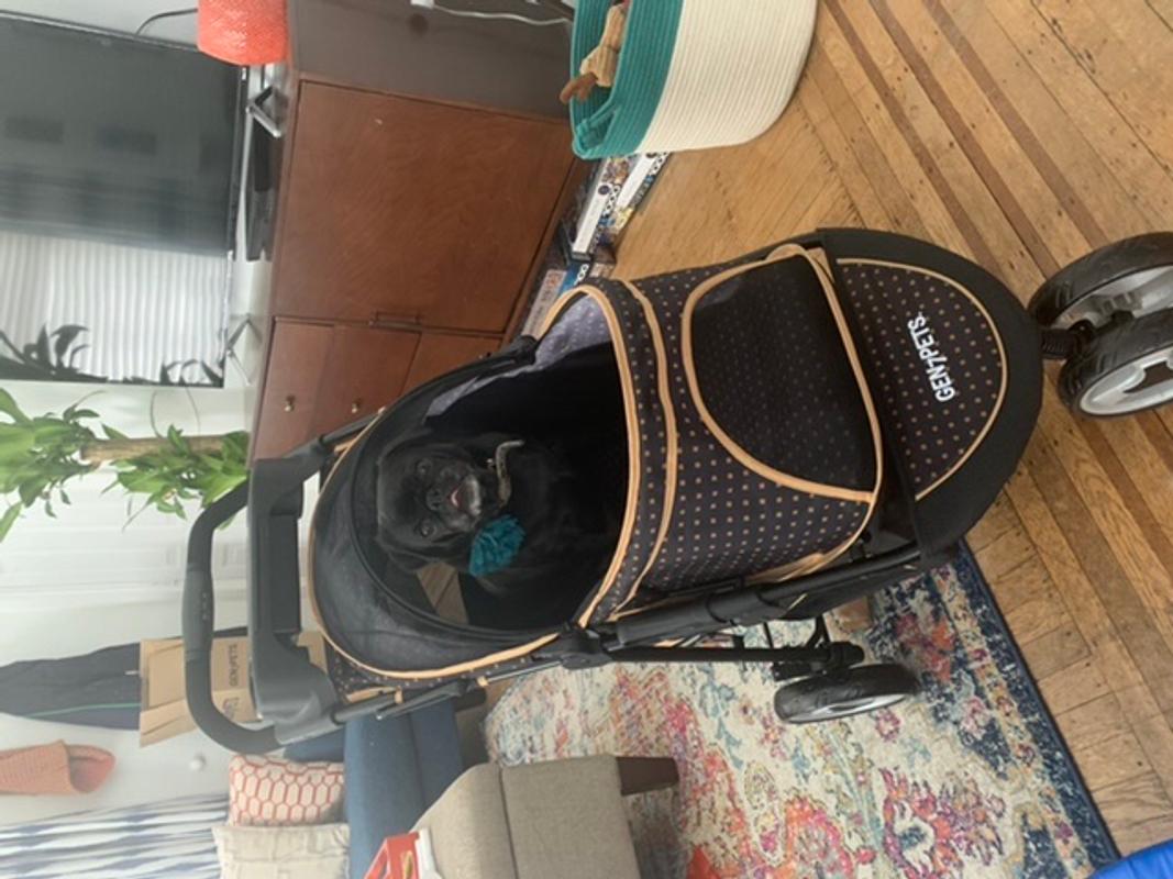 Promenade Dog Stroller by Gen7Pets