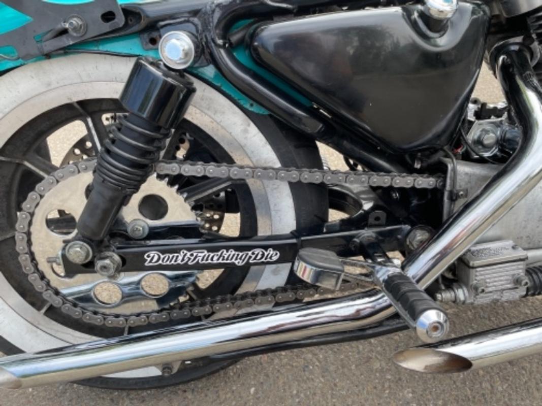 belt to chain conversion for 1200 sportsters