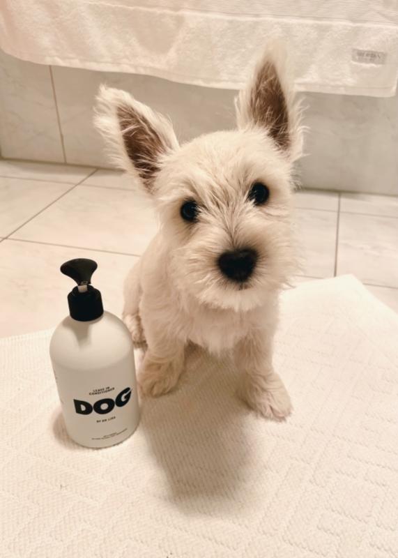 DOG Leave in Conditioner DOG by Dr Lisa
