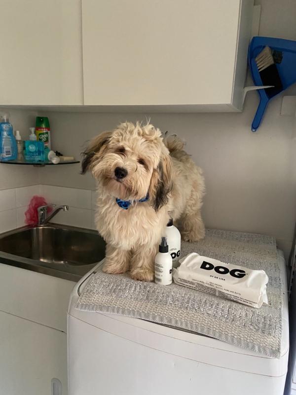 DOG Calm Cologne DOG by Dr Lisa