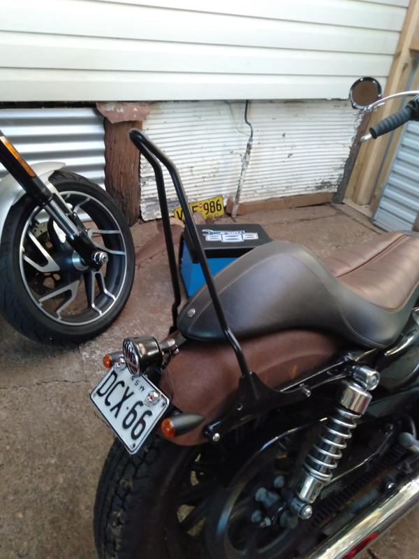 lowbrow sissy bar