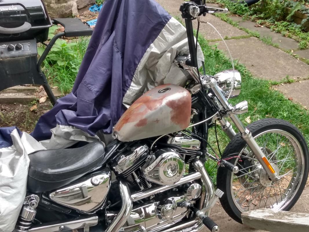 2001 sportster gas tank