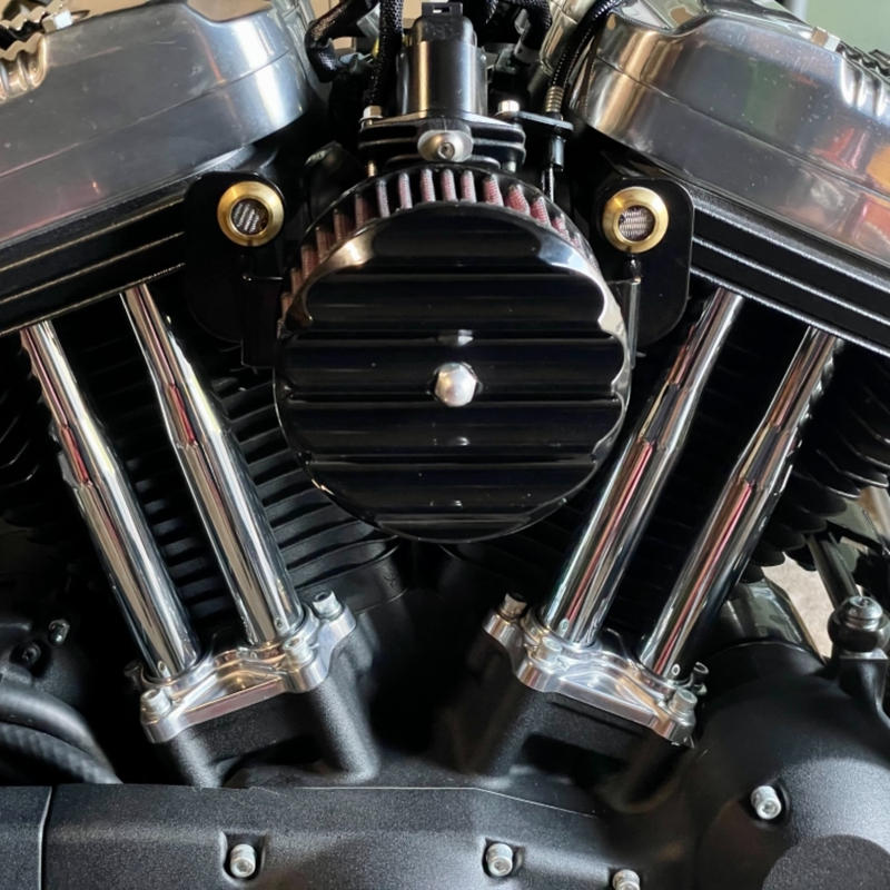 Lowbrow Customs Radius Breather Bolts for HarleyDavidson Evo Brass