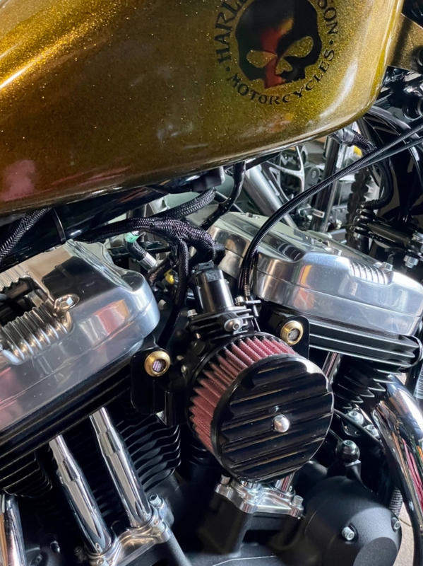 Lowbrow Customs Radius Breather Bolts for HarleyDavidson Evo Brass