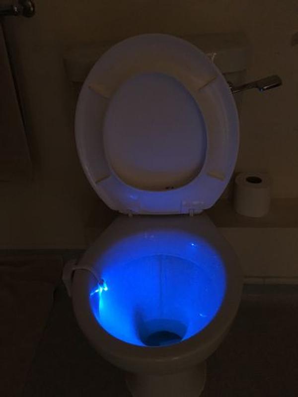 toilet seat light glow