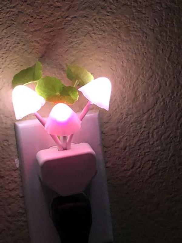 lucky mushroom night light