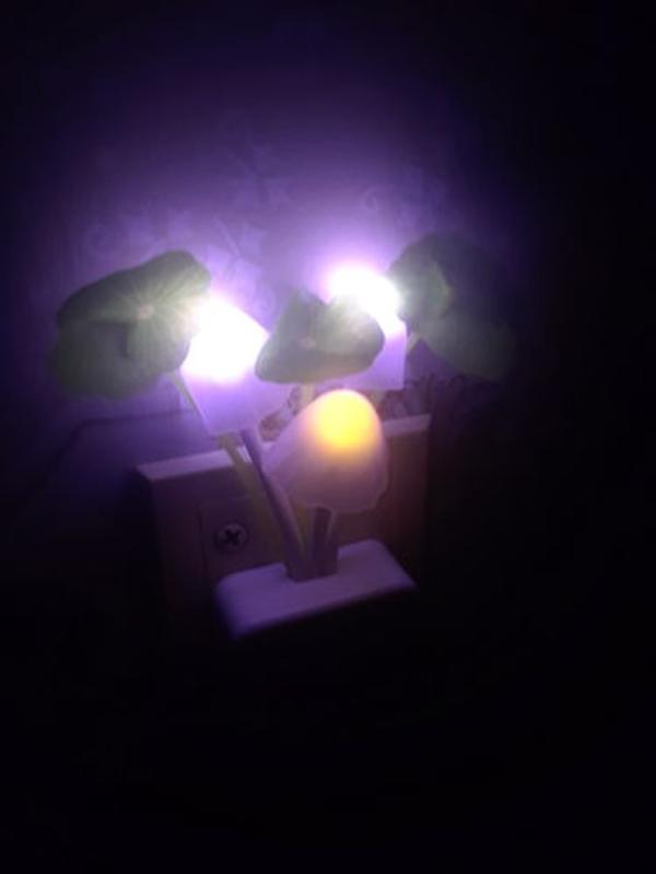 lucky mushroom night light