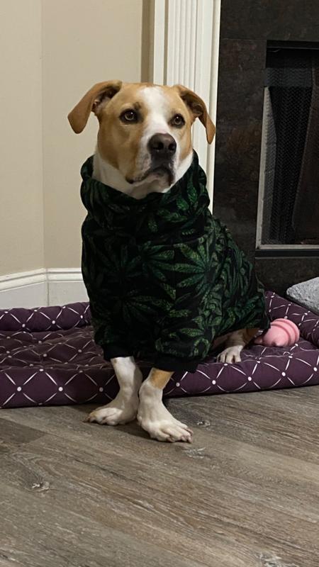 Cannabis Fleece Dog Sweater – Tooth & Honey