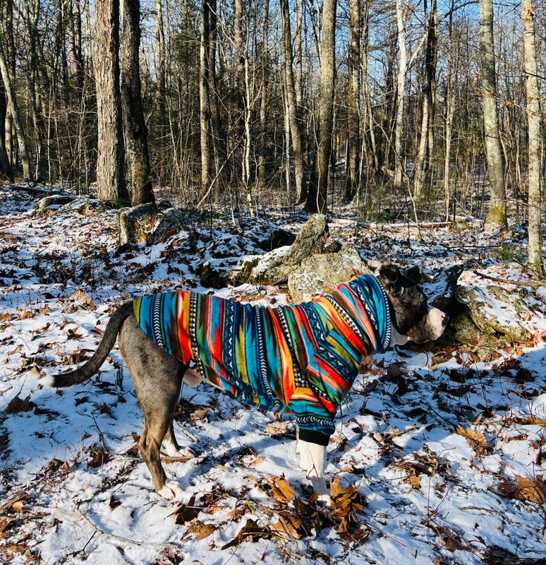 Rainbow Stripe Dog Sweater