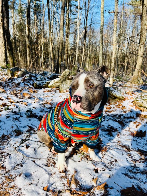 Rainbow Stripe Dog Sweater