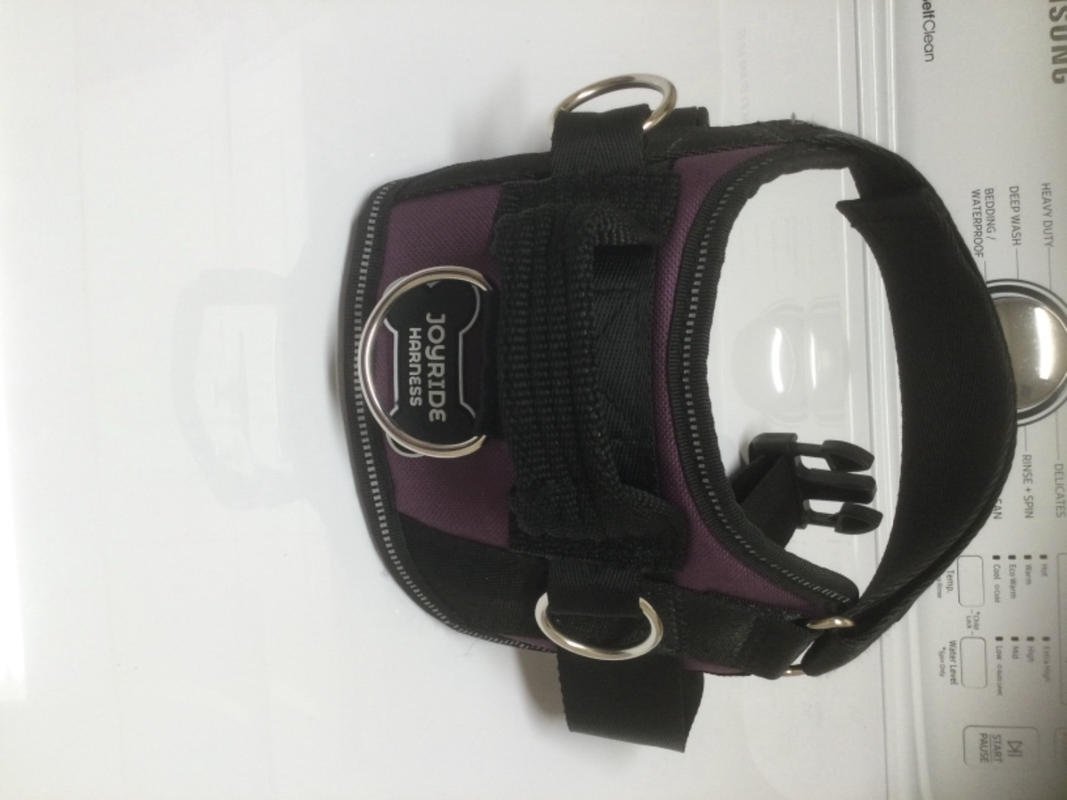 Joyride Harness The World's Best No Pull Dog Harness