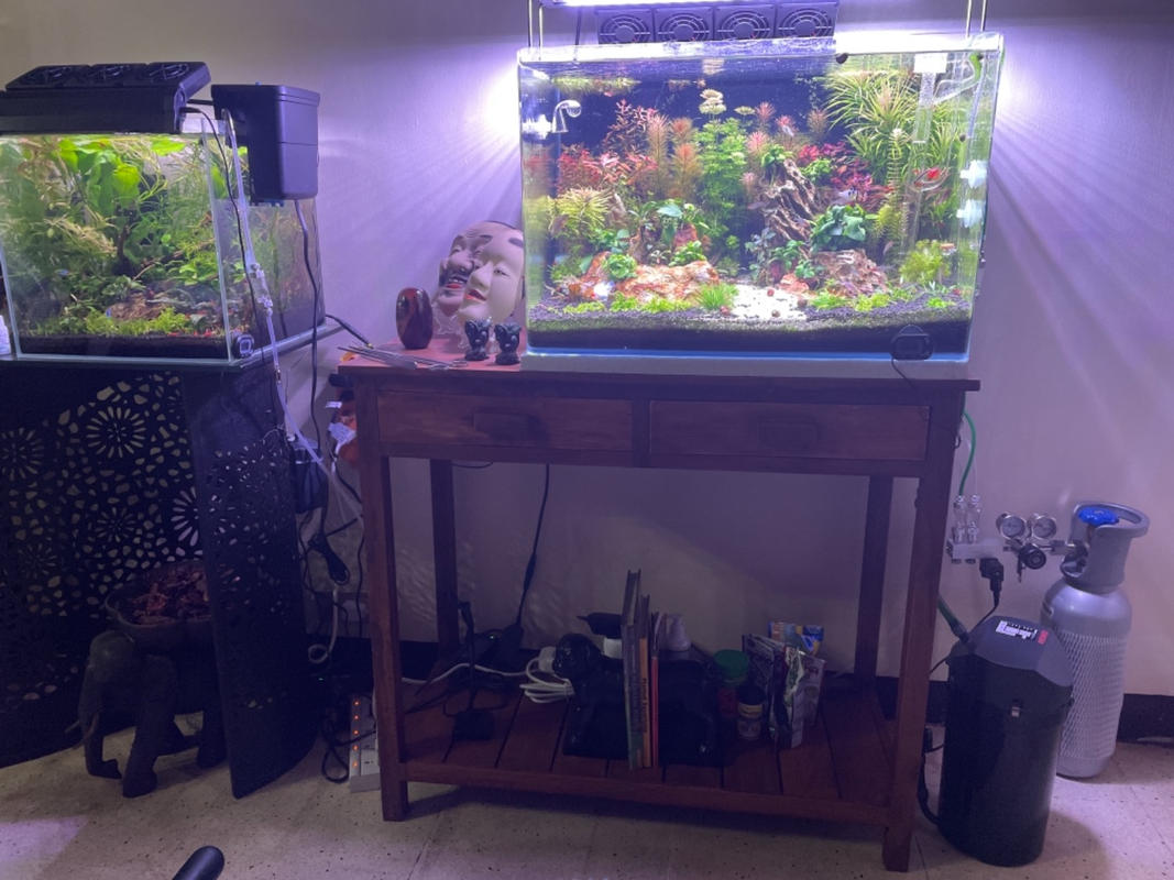 Pro Elite系列最先进的水族馆co2 双级稳压器 Co2art Eu
